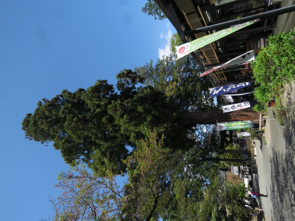 塩ノ山