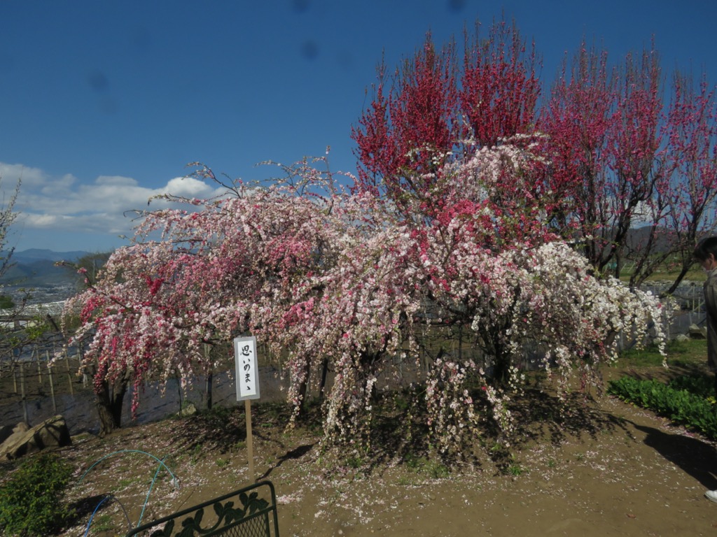 塩ノ山