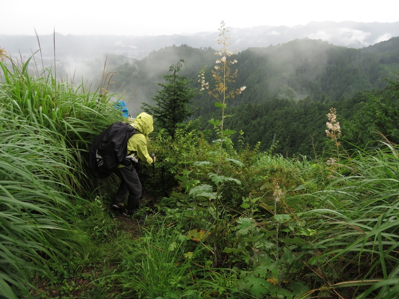 南沢あじさい山