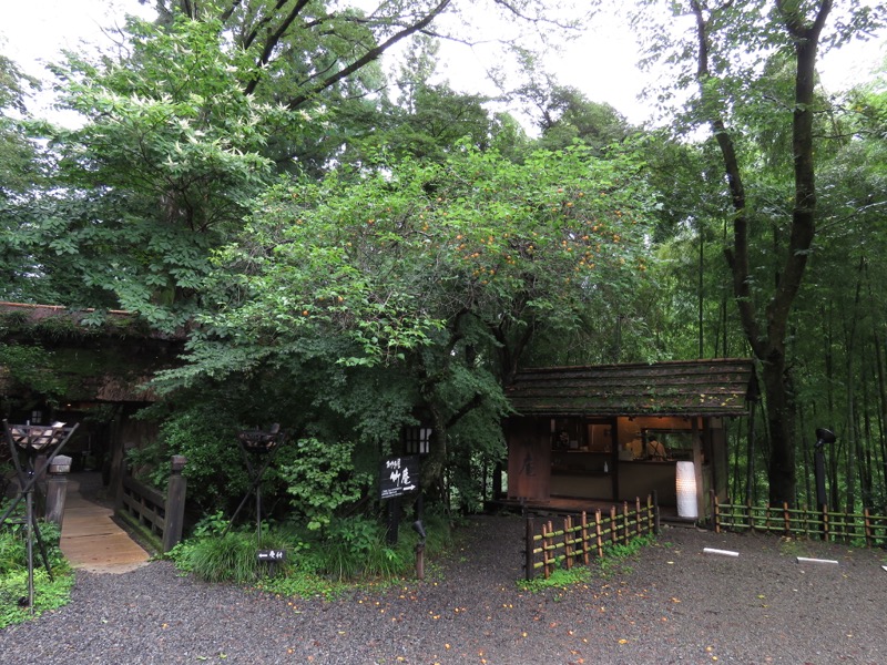 南沢あじさい山