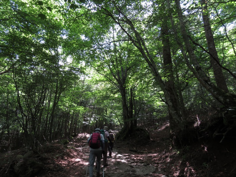 三ッ峠山