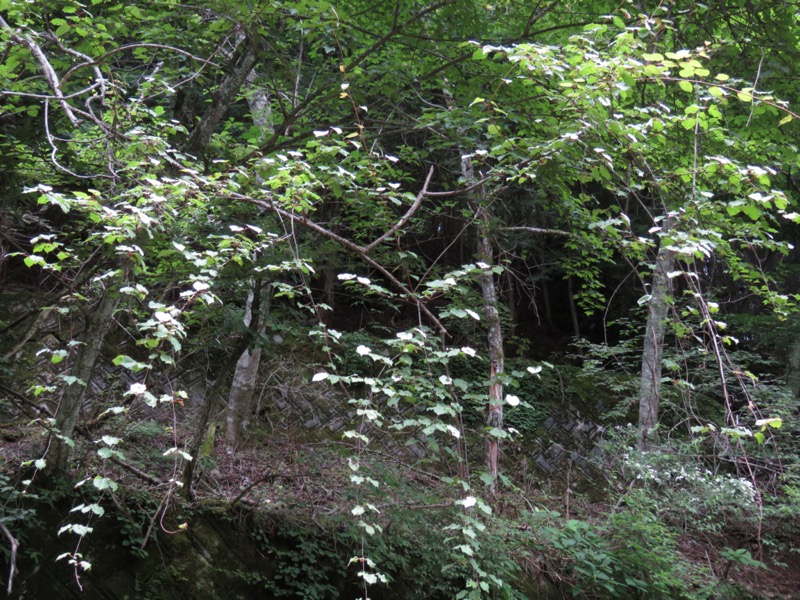 三ッ峠山