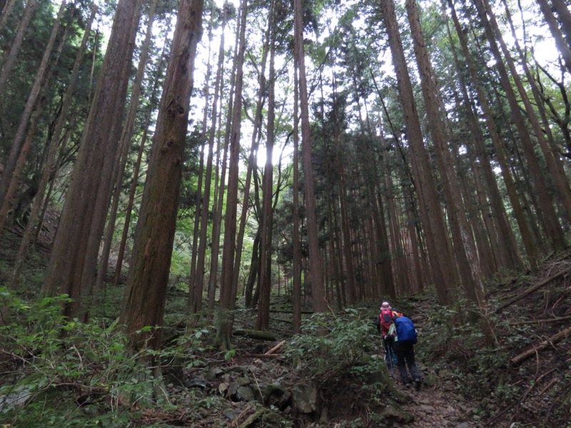 浅間嶺