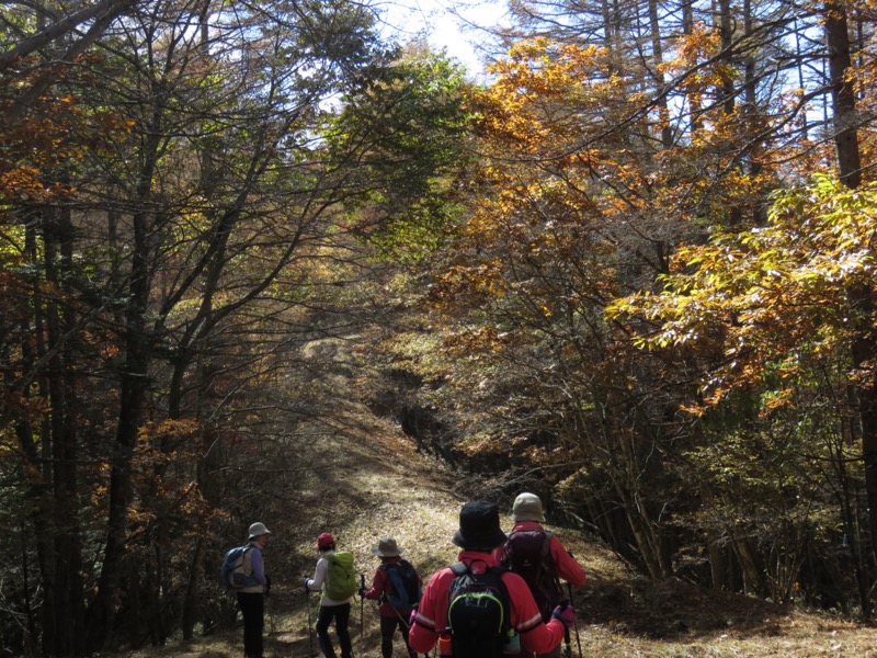 小楢山