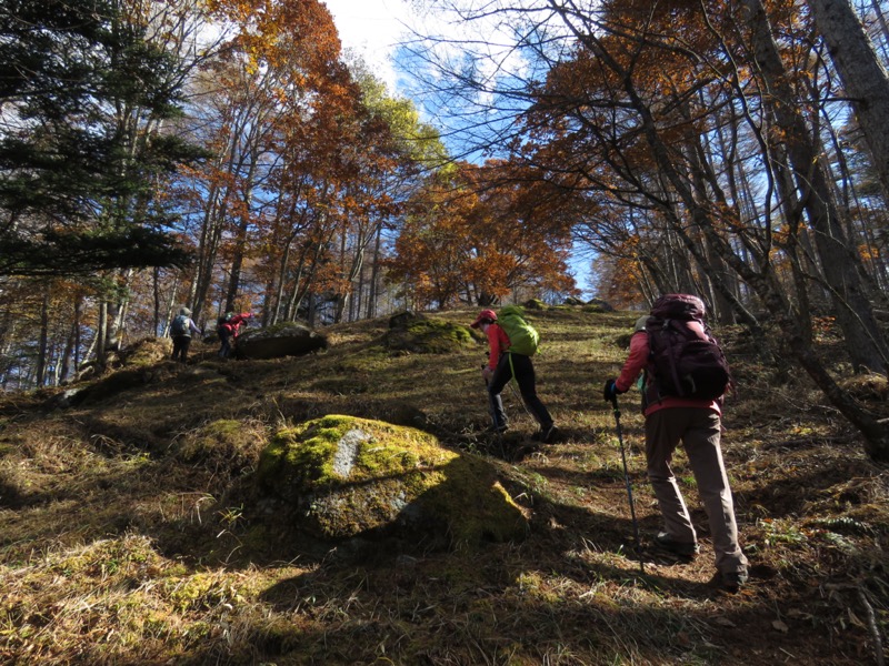 小楢山