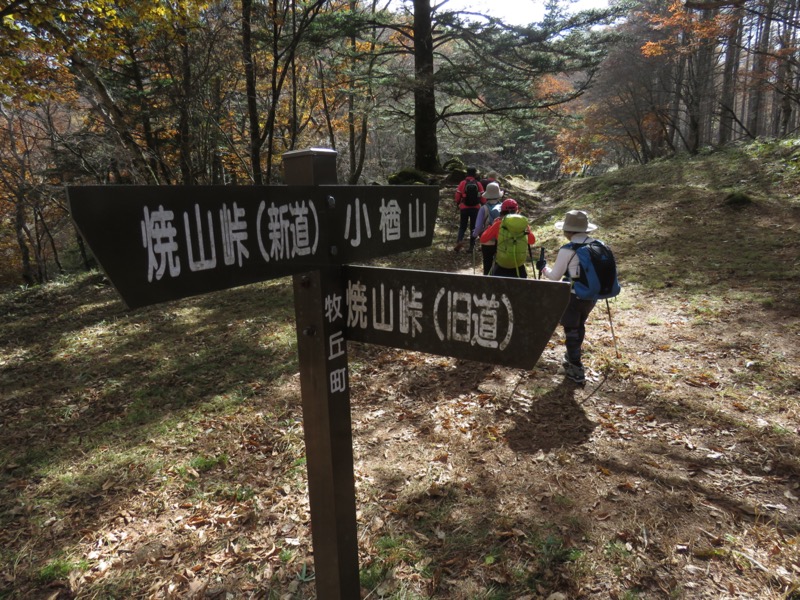 小楢山