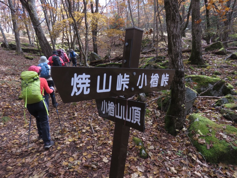 小楢山