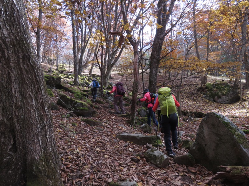 小楢山