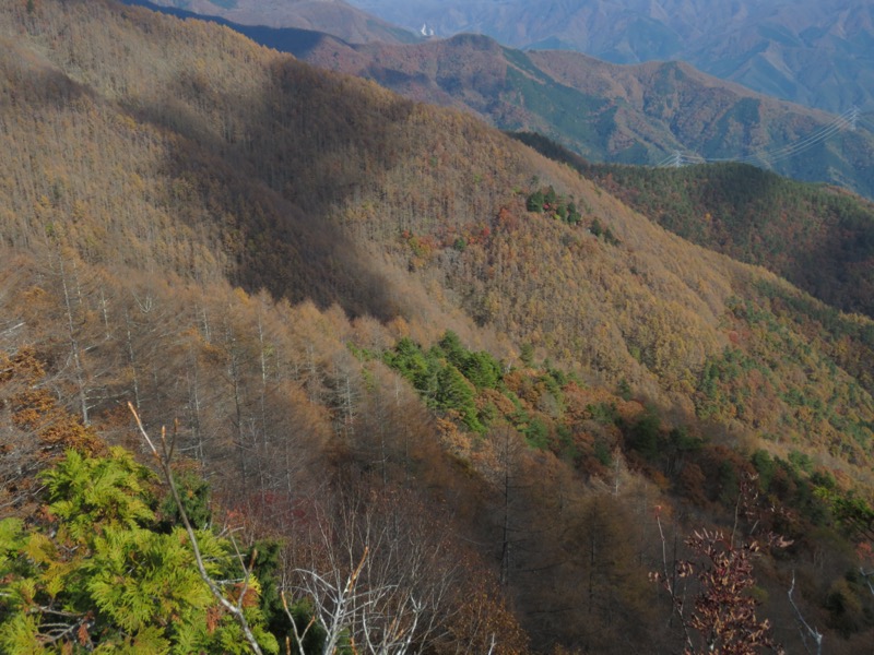 小楢山