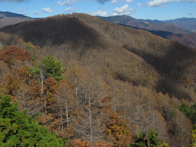 小楢山