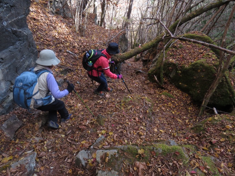 小楢山