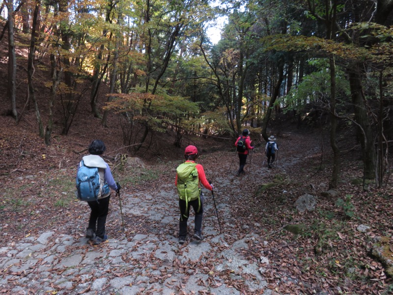 小楢山