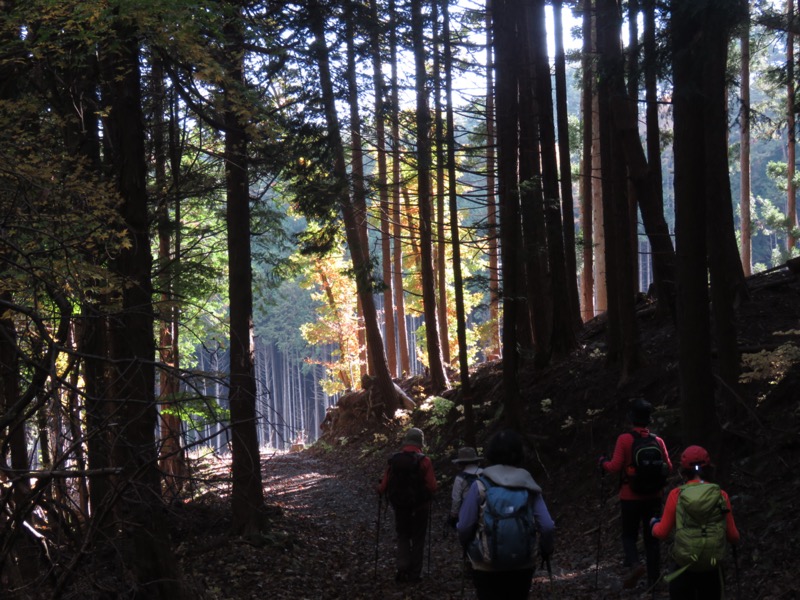 小楢山