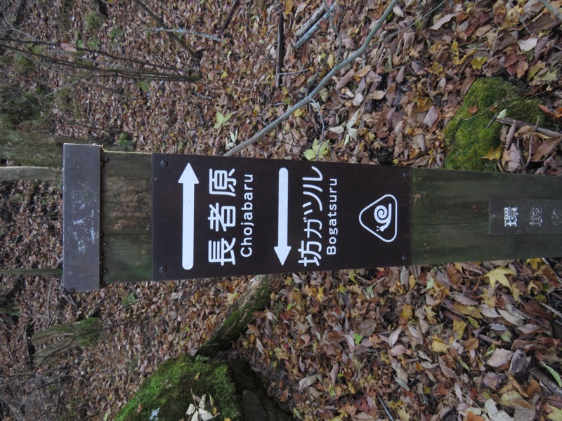 久住山、九重、坊がつる