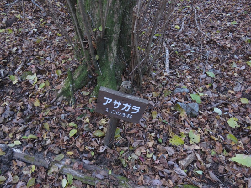 久住山、九重、坊がつる