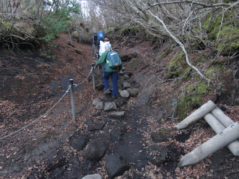 久住山、九重、坊がつる