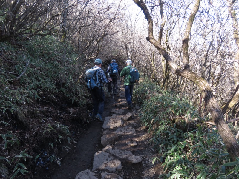 久住山、九重、坊がつる