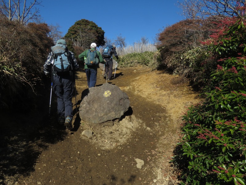 久住山、九重、坊がつる