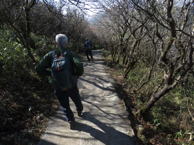 久住山、九重、坊がつる