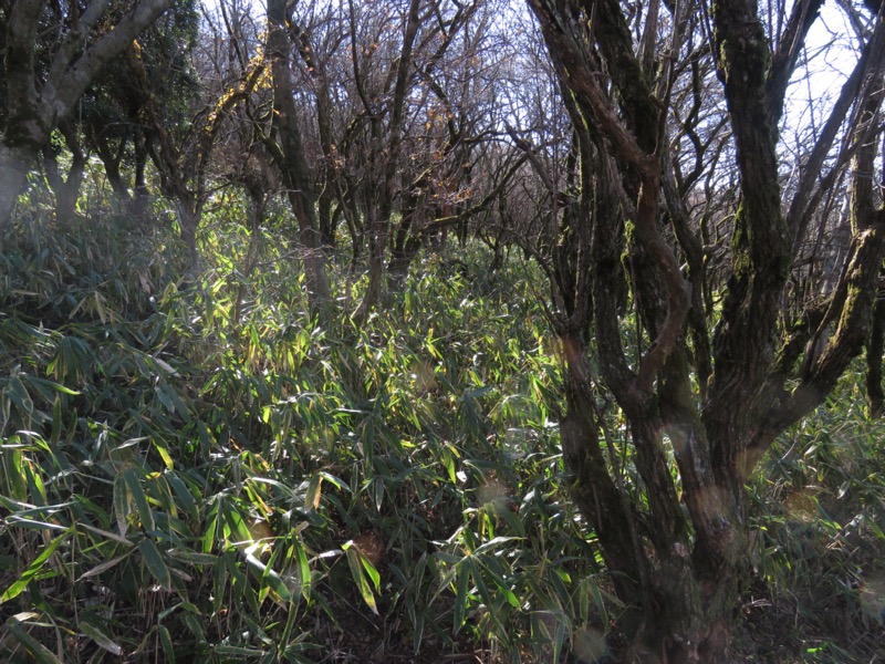 久住山、九重、坊がつる