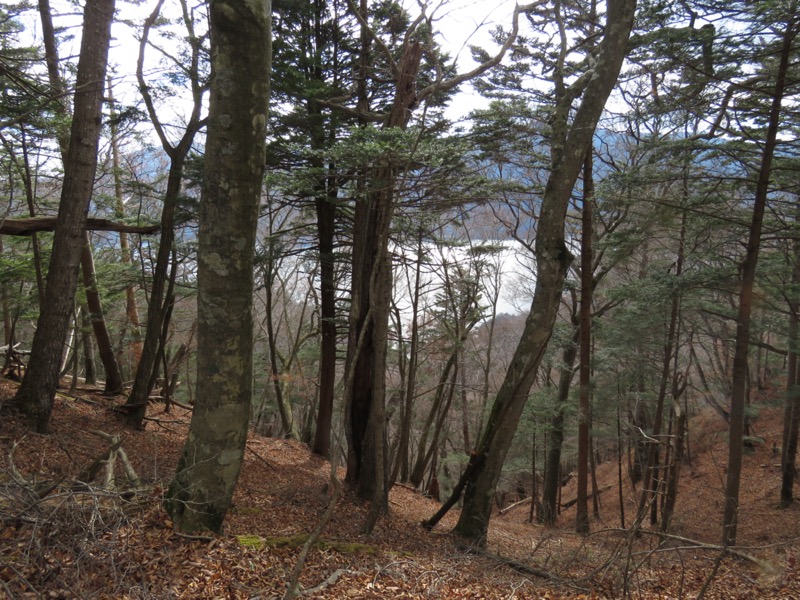 高山