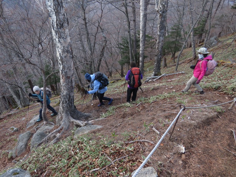 高山