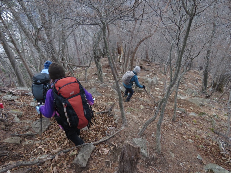 高山