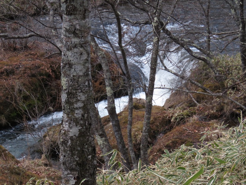 高山