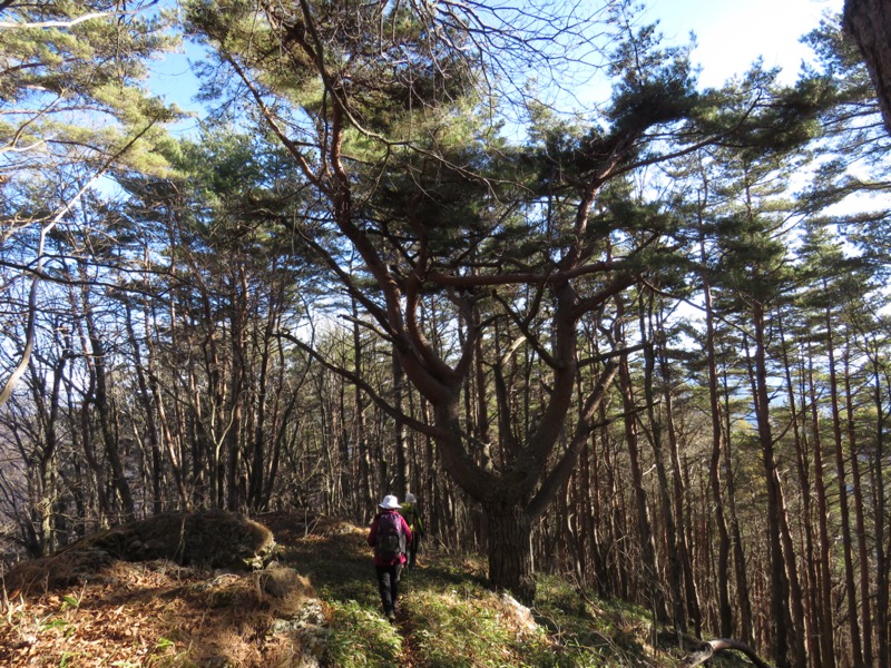 守屋山