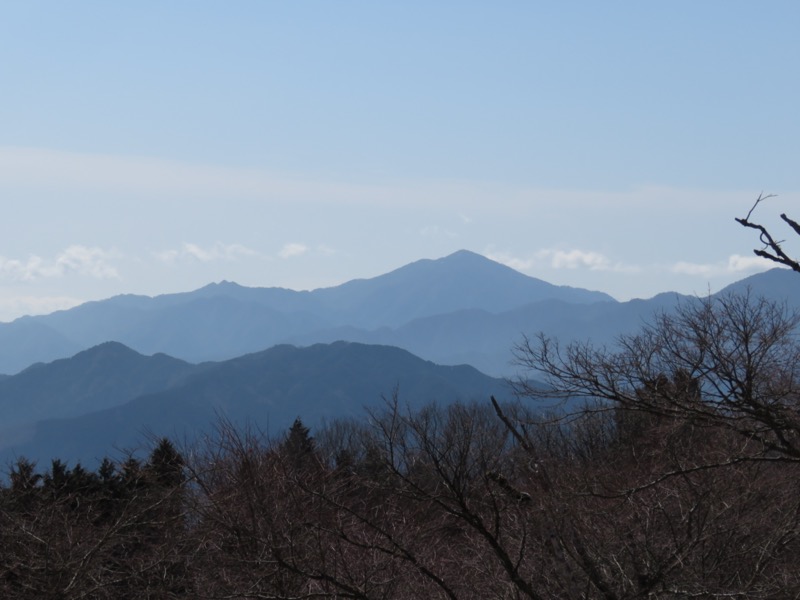 陣馬山、高尾山