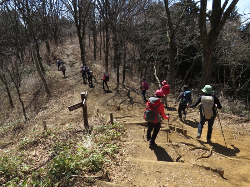 陣馬山、高尾山