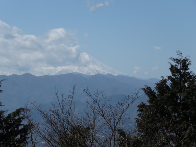 陣馬山、高尾山