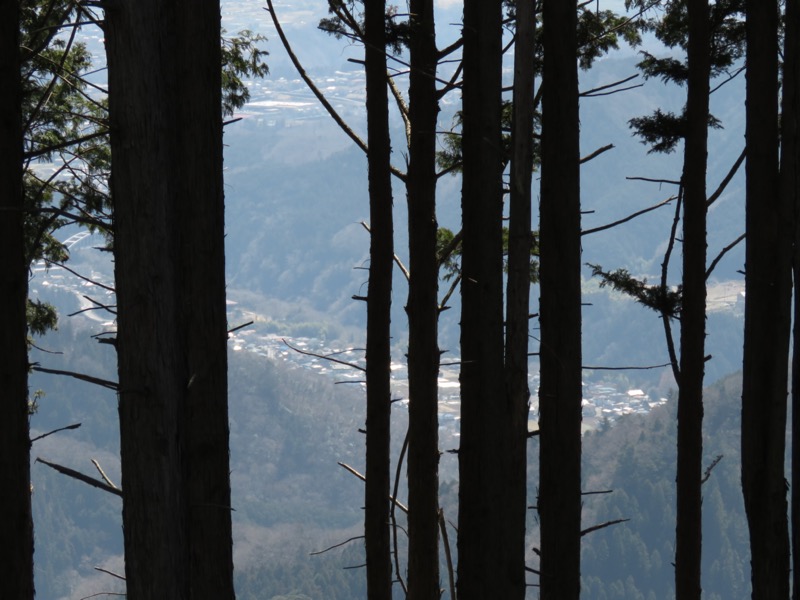 陣馬山、高尾山