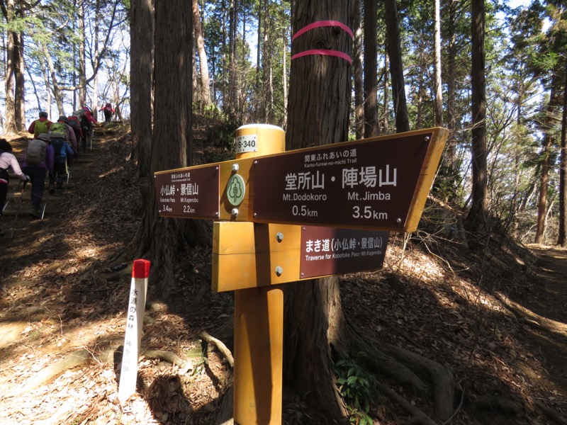 陣馬山、高尾山