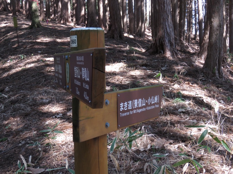 陣馬山、高尾山