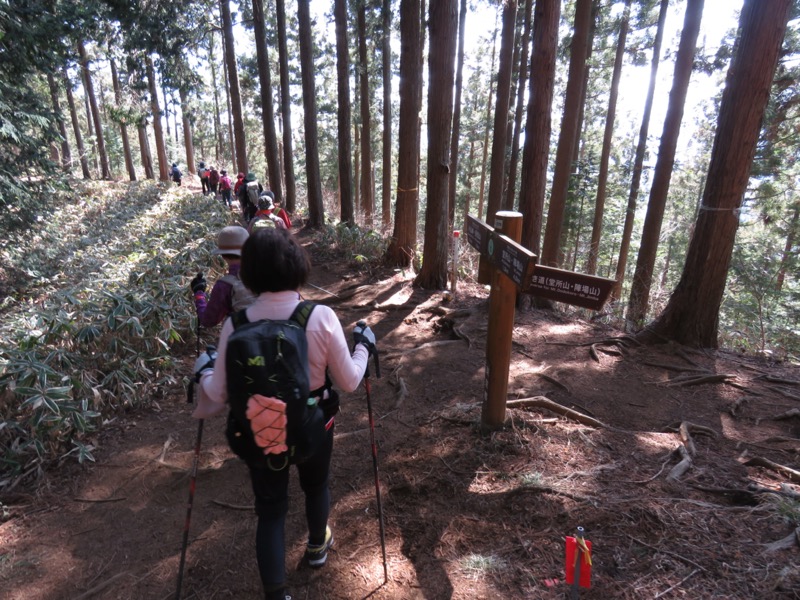 陣馬山、高尾山