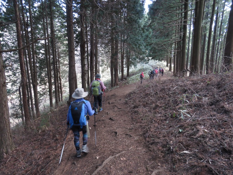 陣馬山、高尾山