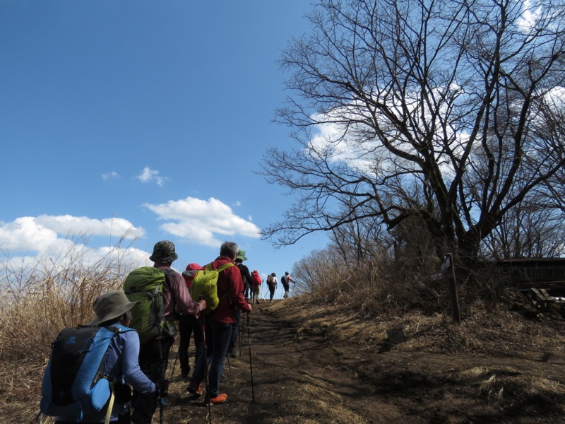 陣馬山、高尾山