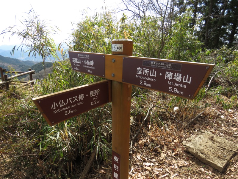 陣馬山、高尾山