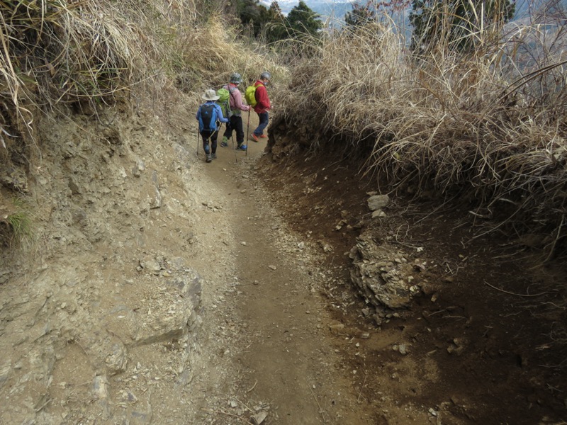 陣馬山、高尾山