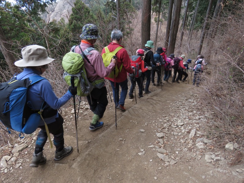 陣馬山、高尾山