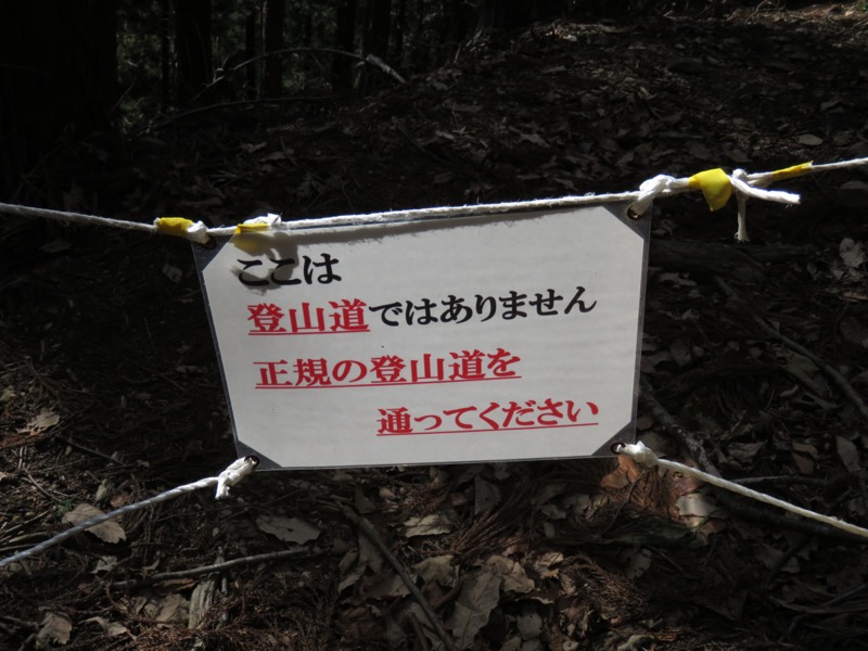 陣馬山、高尾山