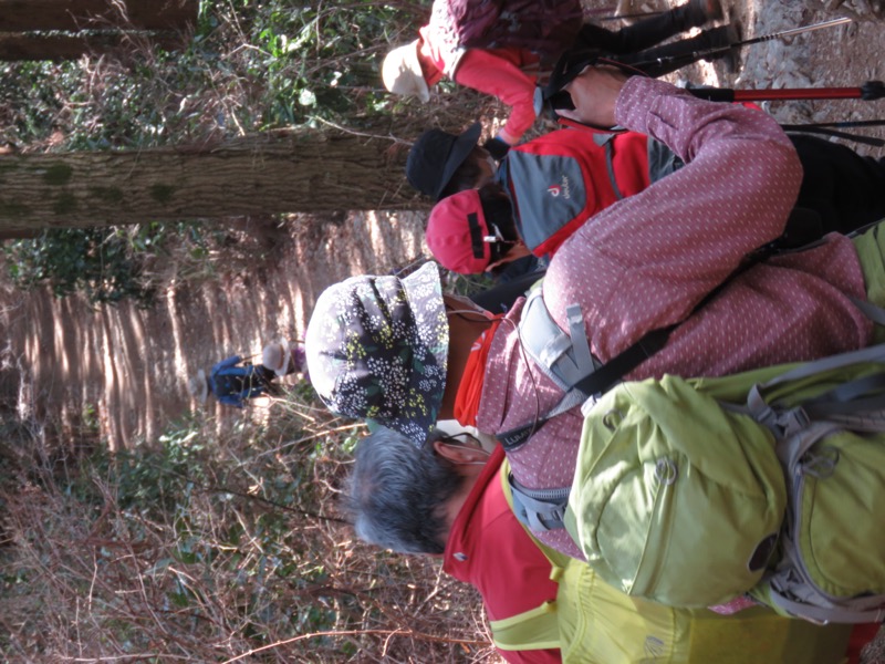 陣馬山、高尾山