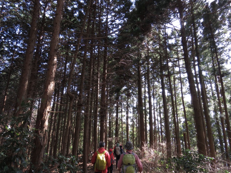 陣馬山、高尾山