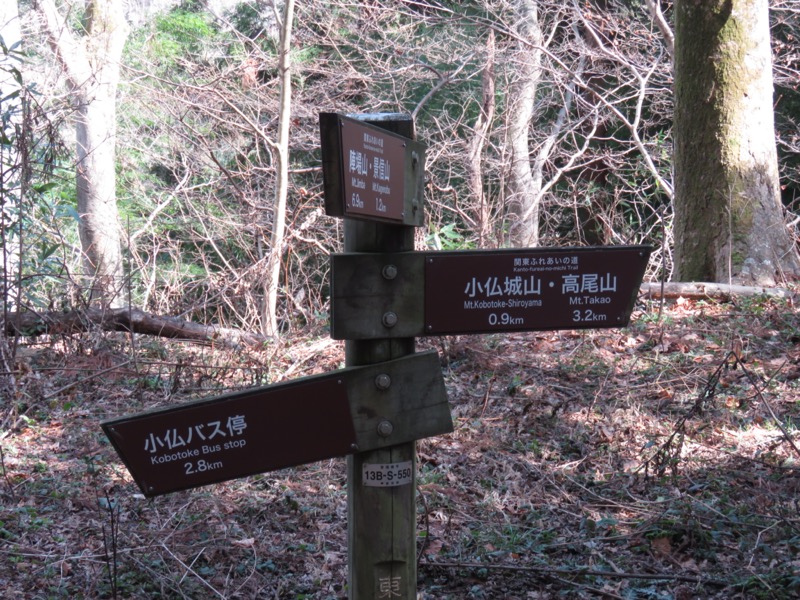 陣馬山、高尾山