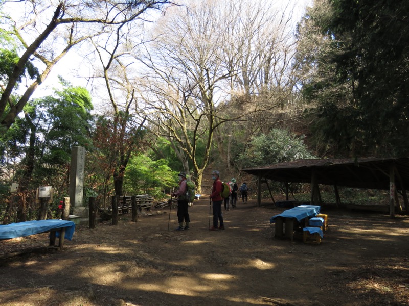 陣馬山、高尾山