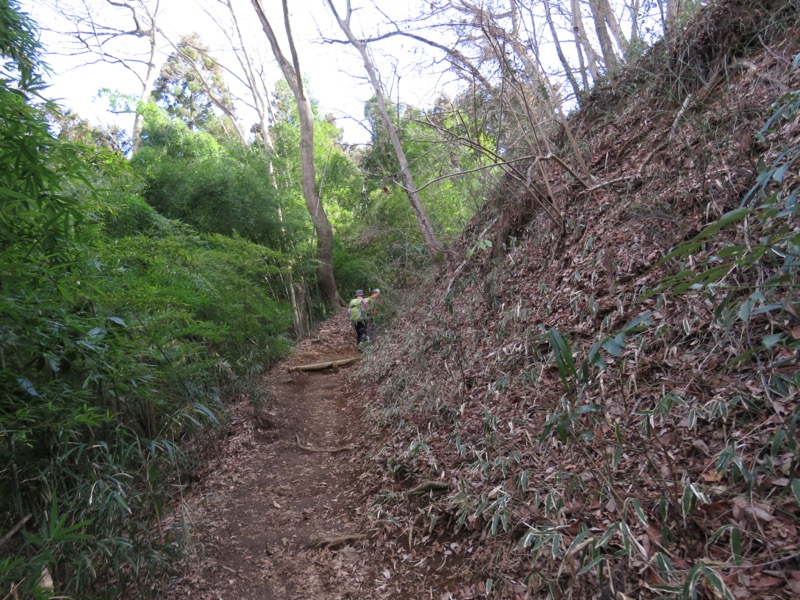 陣馬山、高尾山