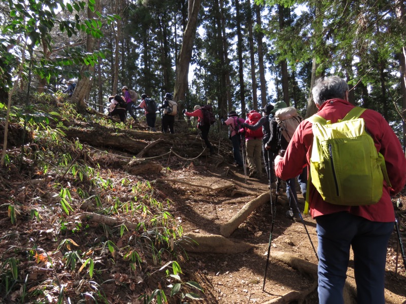 陣馬山、高尾山