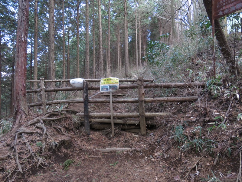 陣馬山、高尾山