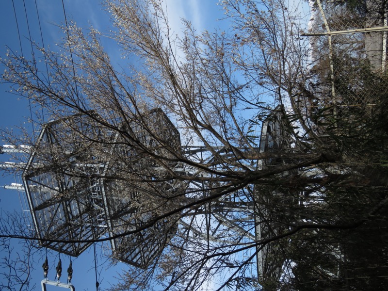 陣馬山、高尾山